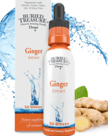 Ginger Extract  (30 servings)        NEW