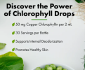 Chlorophyll Extract  (30 servings)  NEW