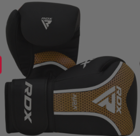 BOXING GLOVE AURA PLUS T 17 BLACK GOLDEN (size: 16oz)