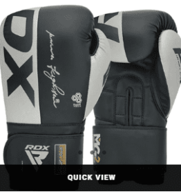 BOXING GLOVES REX F4 GREY/BLACK (size: 10oz)